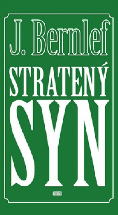 Straten syn - J. Bernlef