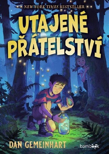 Utajené přátelství - Dan Gemeinhart