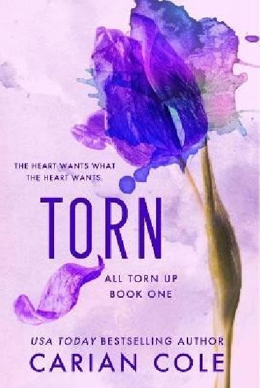 Torn - Cole Carian