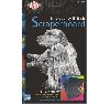 Essdee Przdn krabac folie se krabky 15,2 x22,9 cm 10 ks - neuveden