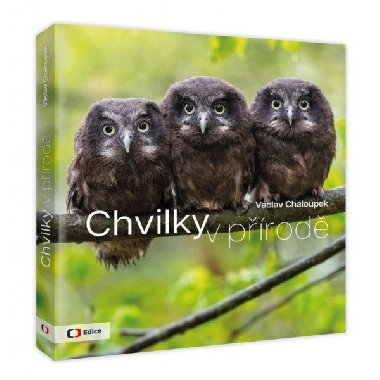 Chvilky v prod - Vclav Chaloupek