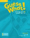 Guess What! Level 6 Activity Book with Online Resources British English - Rivers Susan