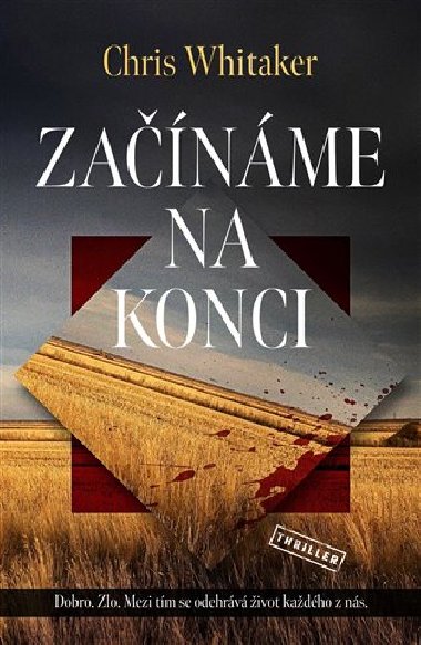 Zanme na konci - Chris Whitaker