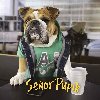 Seor Pupk - Seor Pupk