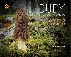 Houby Berounska a Hoovicka - Martin Majer; Michal Hejna; Oldich Jindich