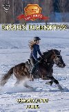 Krde diamantov - Charlotte Link