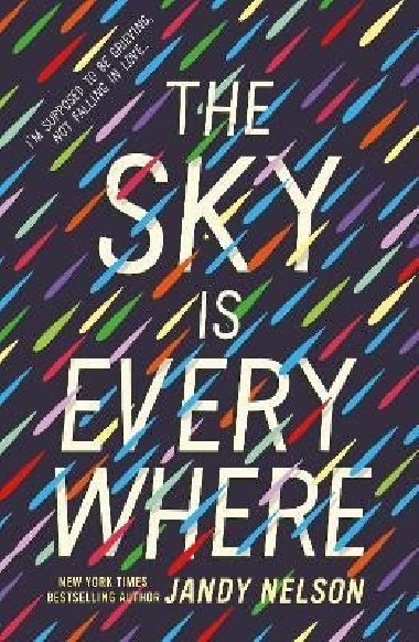 The Sky Is Everywhere - Nelsonová Jandy