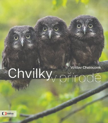 Chvilky v prod - Vclav Chaloupek