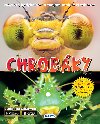 Chrobky - 