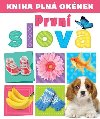 Kniha pln oknek  Prvn slova - Andrew Burgess; Pooja Desai