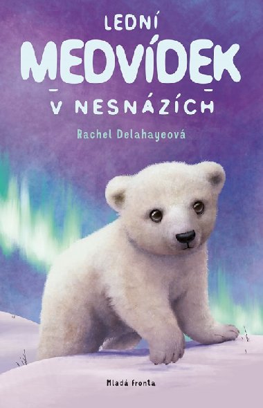 Ledn medvdek v nesnzch - Rachel Delahayeov