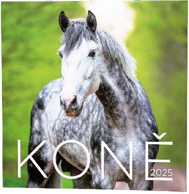 Kon 2025 - nstnn kalend - Balouek