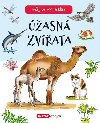 Mj prvn atlas - ھasn zvata - Infoa