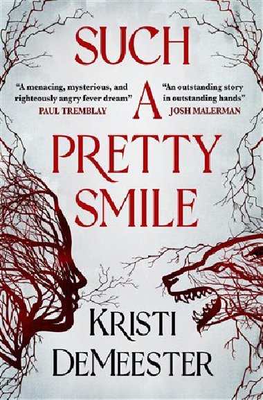 Such a Pretty Smile - Kristi DeMeester