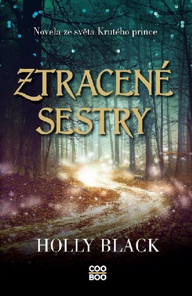 Ztracen sestry - Holly Black