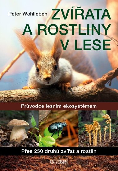 Zvířata a rostliny v lese - Peter Wohlleben