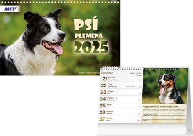 Ps plemena 2025 - stoln kalend - MFP Paper