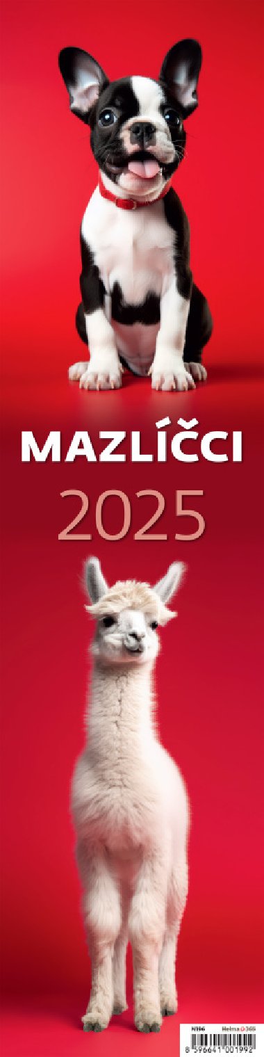 Mazlci 2025 - nstnn kalend - Helma