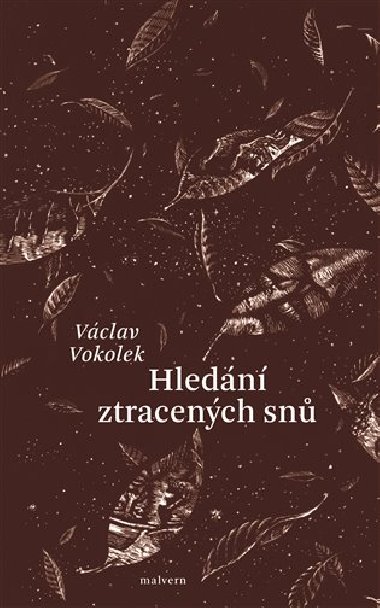 Hledn ztracench sn - Vclav Vokolek