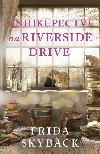 Knihkupectv na Riverside Drive - Frida Skybck