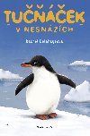 Tuek v nesnzch - Rachel Delahayeov