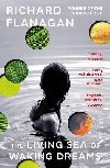 The Living Sea of Waking Dreams - Flanagan Richard