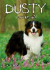 Dusty: V nebezpe - Jan Andersen