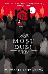 Most du (Cassidy Blake 3) - V. E. Schwab