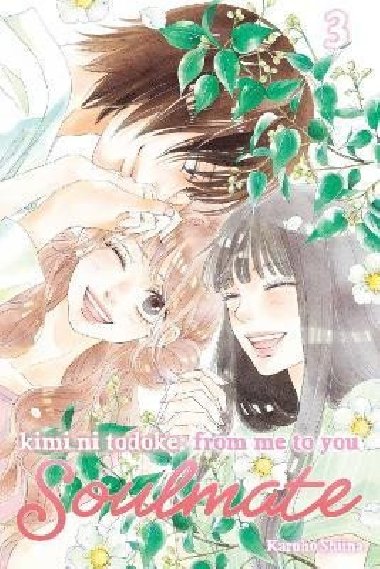 Kimi ni Todoke: From Me to You: Soulmate, Vol. 3 - Shiina Karuho