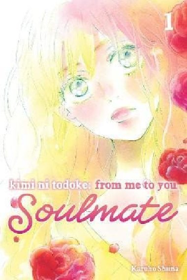 Kimi ni Todoke: From Me to You: Soulmate, Vol. 1 - Shiina Karuho