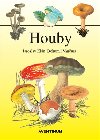 Houby - Jaroslav Kln