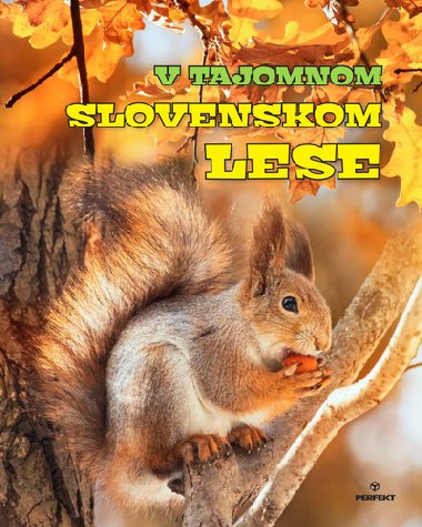 V tajomnom slovenskom lese - Roman Jadro; Miroslav Saniga