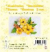 Pestky do kvtk - lut 160 ks - neuveden