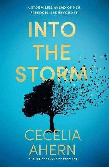 Into the Storm - Ahernov Cecelia
