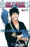 Bleach 30 - Tite Kubo