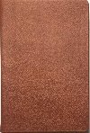 Bible21 prav ke hnd s etu - Alexandr Flek
