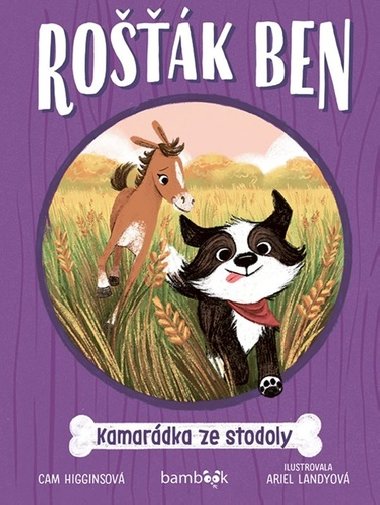 Rošťák Ben - Kamarádka ze stodoly - Cam Higginsová; Ariel Landyová