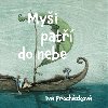 Myi pat do nebe - Iva Prochzkov