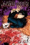 Jujutsu Kaisen 2 - Akutami Gege