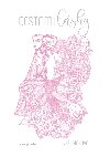 Cestami lsky - 
