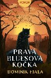 Prav bluesov koka - Dominik Fiala