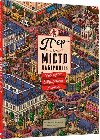 Pjer i misto labiryntiv. U poukach vykradenoho Kamenja - Kamigaki Hiro
