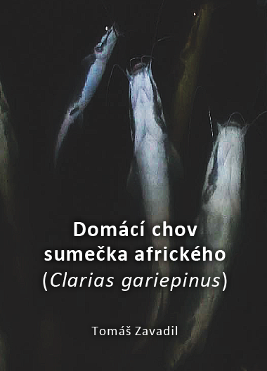 Domc chov sumeka africkho (Clarias gariepinus) - Tom Zavadil 