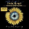 Hey Hey Rise Up (Feat. Andriy Khlyvnyuk Of Boombox) - Pink Floyd
