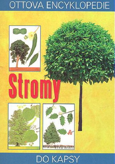 Ottova encyklopedie stromy - Alastair Fitter
