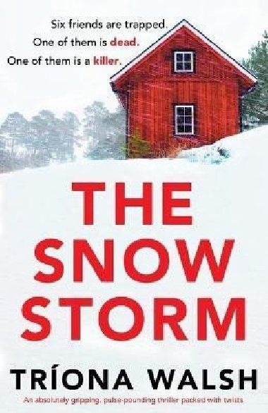 Snowstorm - Walsh Tríona