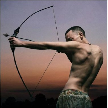 Polari - LP - Alexander Olly