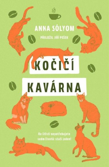Koi kavrna - Anna Slyom