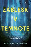 Zblesk v temnote - Stacy Willingham