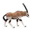 Antilopa Oryx - 